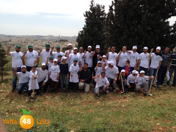 ludandyaffazaitoon (1).JPG